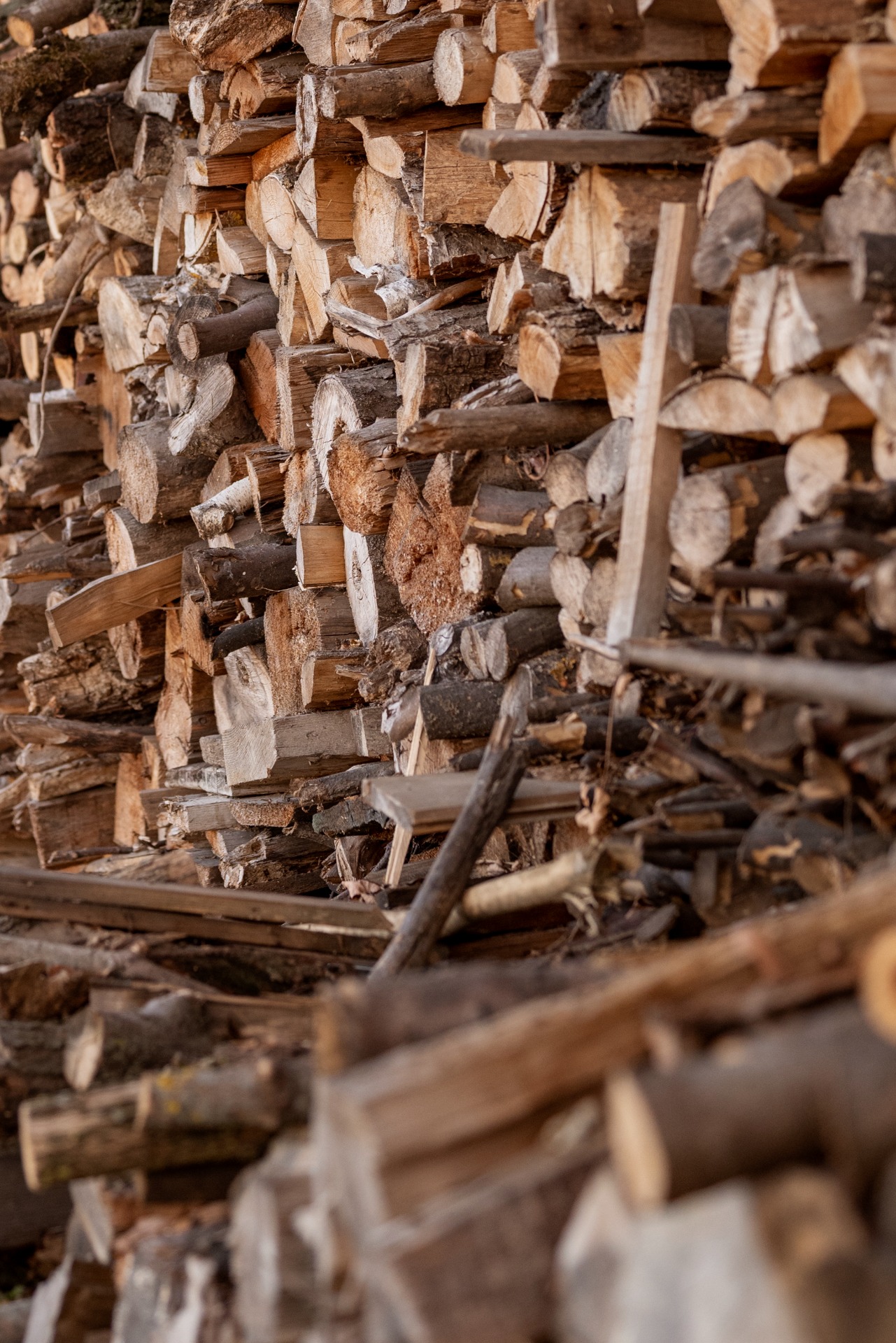 Achat de bois et exploitation forestière